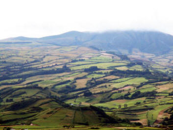 Pasture fields in The Azores